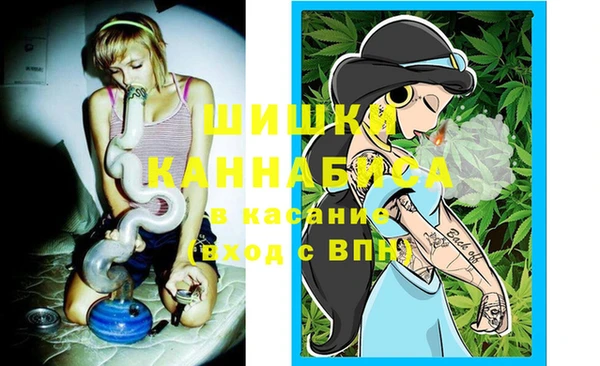 гашик Алзамай