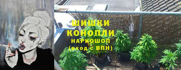 сатива Арсеньев
