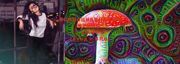 сатива Арсеньев