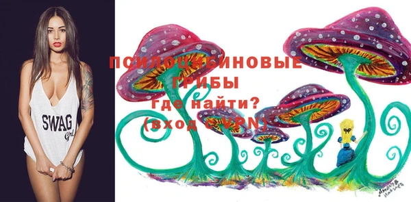 спайс Алексин