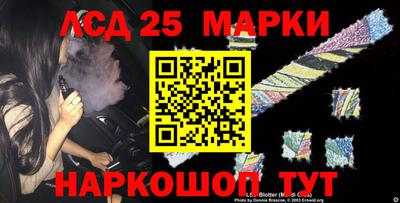 амф Донской