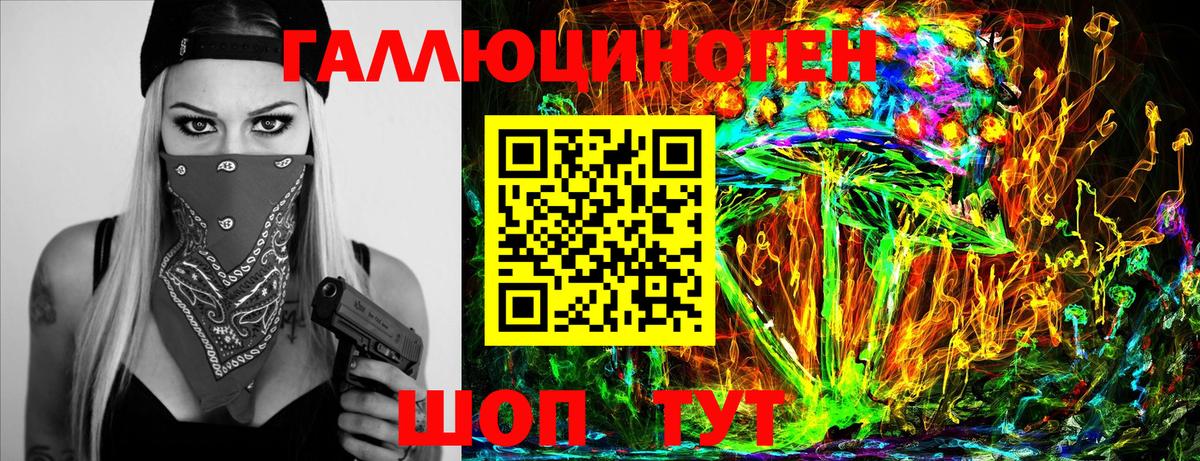 Новозыбков  Галлюциногенные грибы GOLDEN TEACHER  Вход с VPN  Галлюциногенные грибы Cubensis 