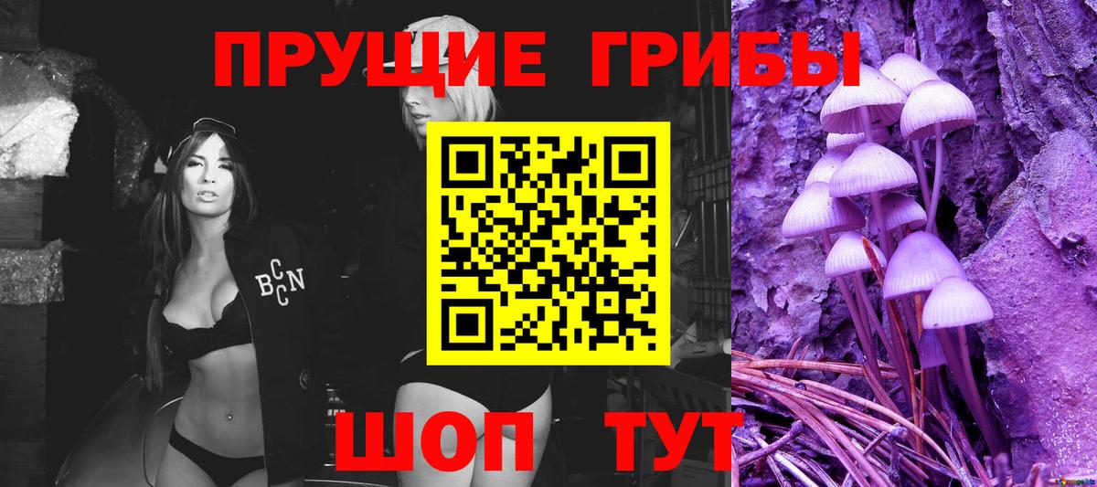 Галлюциногенные грибы Psilocybe Новозыбков