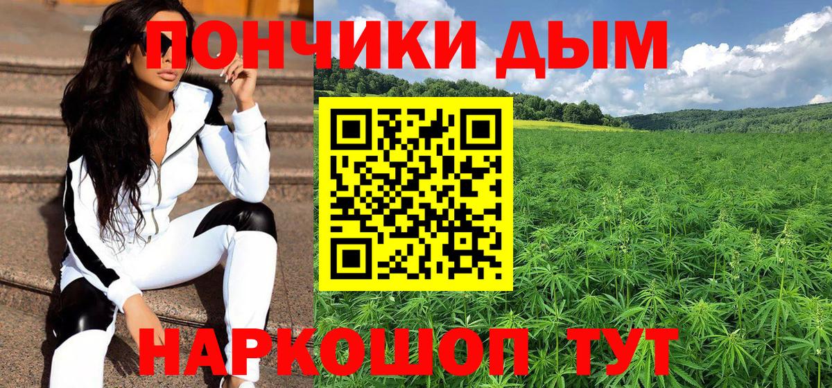 Шишки марихуана ГИДРОПОН  Бошки марихуана семена  Вход с VPN  Марихуана сатива  Новозыбков 